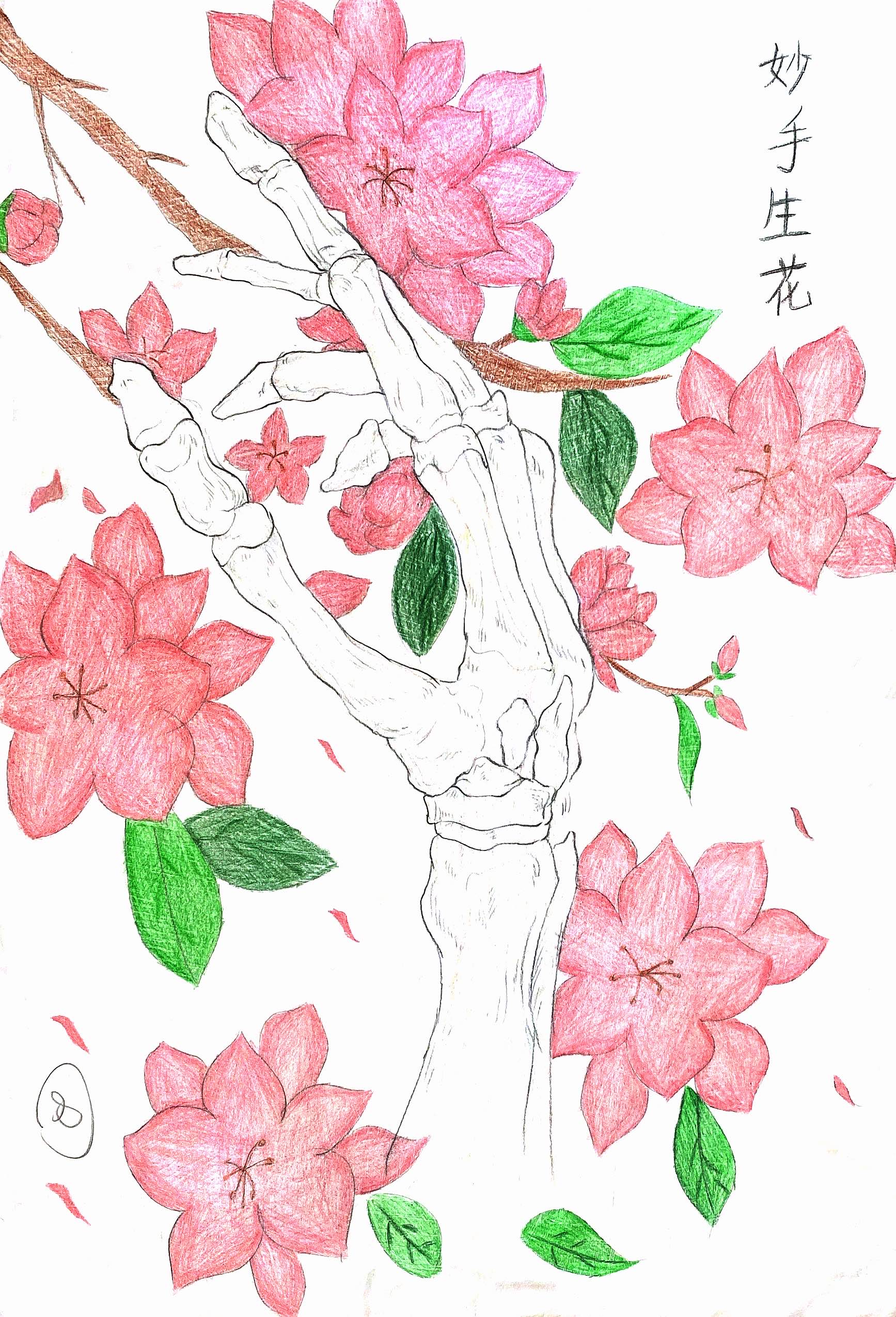 “绘梦青春 展专业风采”主题创意作品征集活动圆满落幕