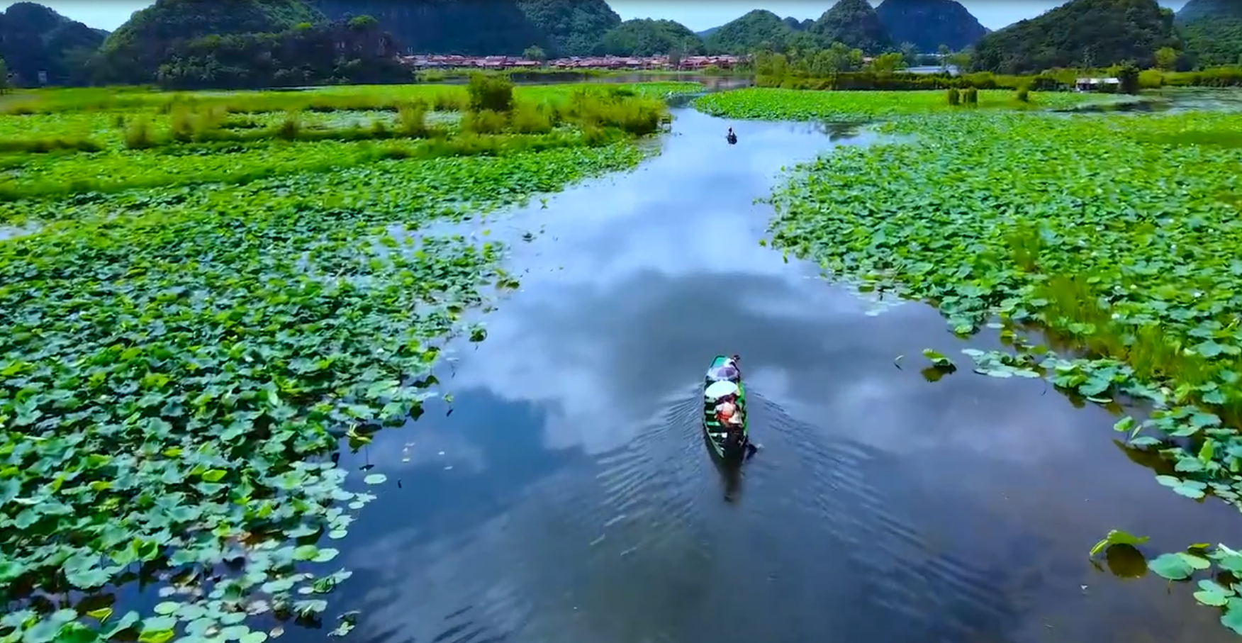 云南夏日最美的地方「普者黑」在流动的山水画中赏荷打水仗