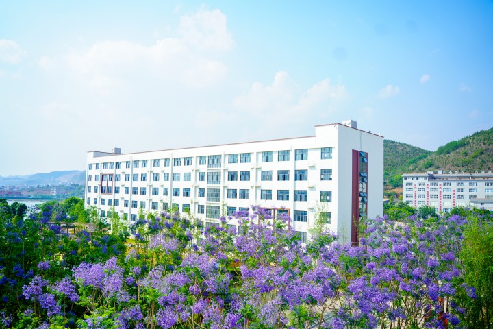 学校风景